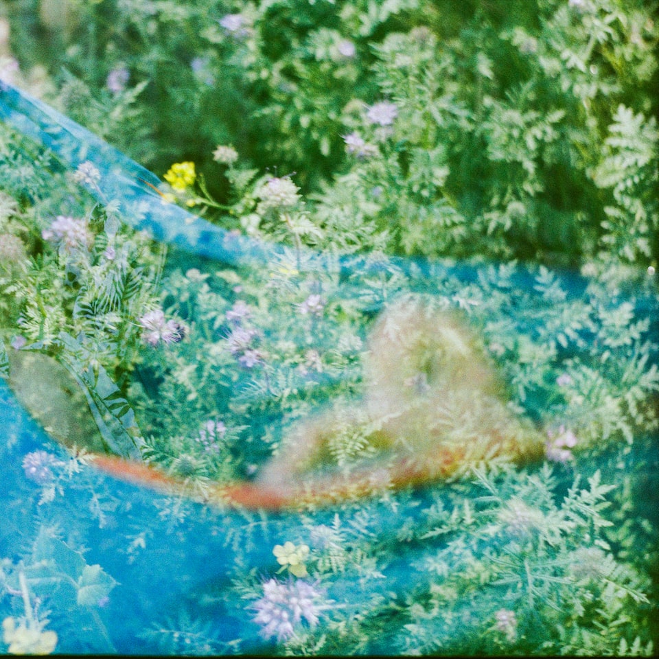 Oven Film Motorola