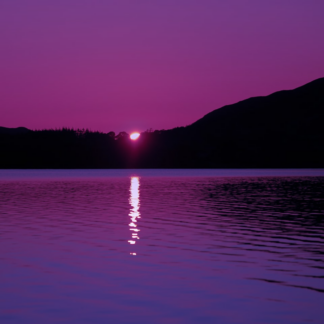 Sword Wet Purple Egg