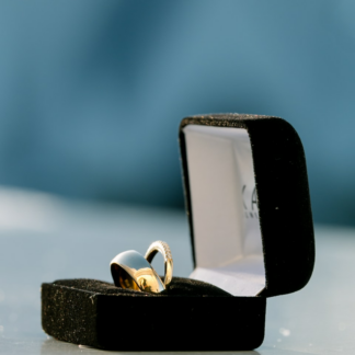 Fish Strawberry Ring