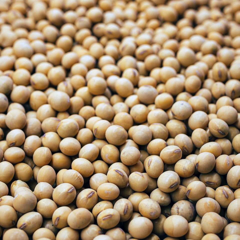 Soy Cleaner