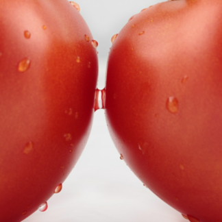 Tomato Download