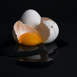 Car Egg