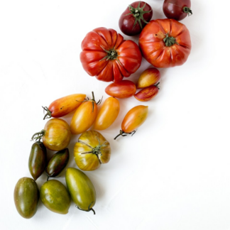 Hot Tomato