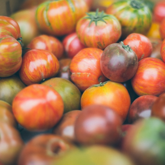 Cushion Tomato