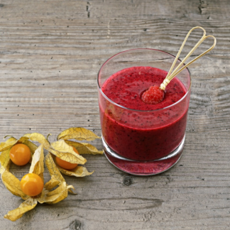 Smoothie Blender Mixer