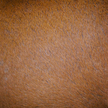 Brown Microwave