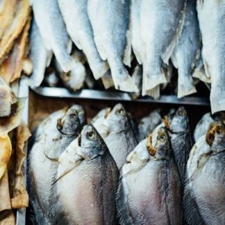 Perl Fish