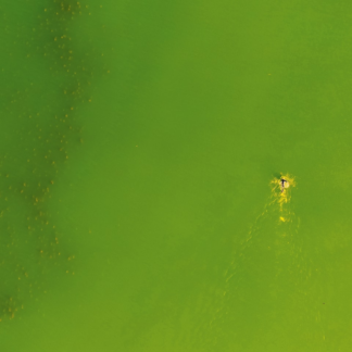 Green Mac