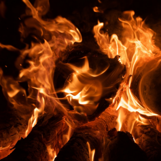 Egg Fire