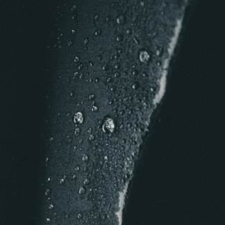 Blender Wet