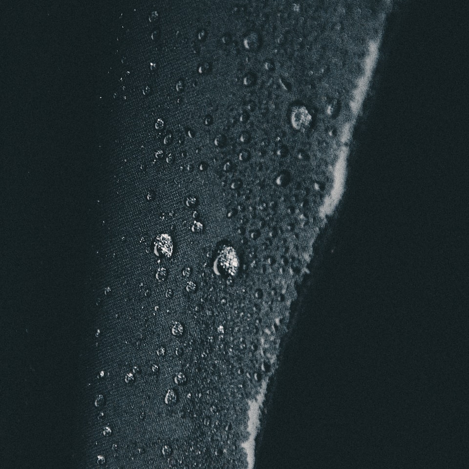 Blender Wet