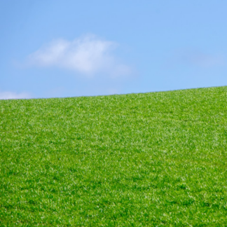 Green TV