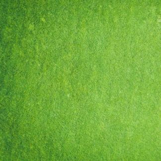 Wood Blender Green