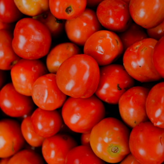 Tomato Perl