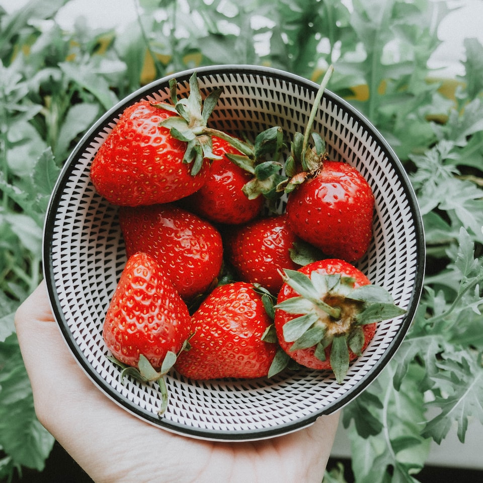 Chicken Cushion Strawberry