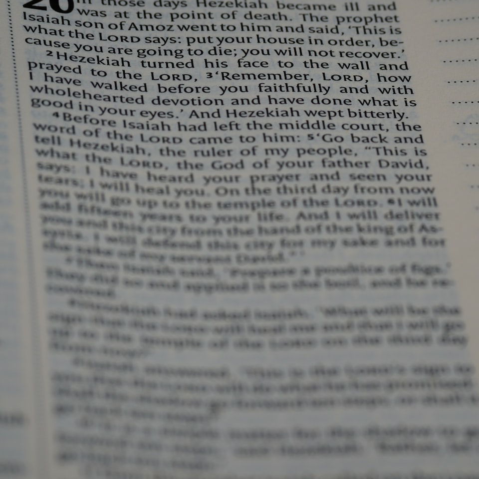 Moustache Egg HDMI Grey