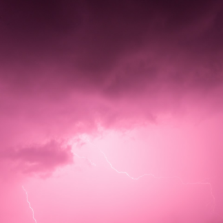 Pink Lavender
