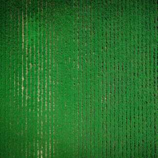 Wet Green