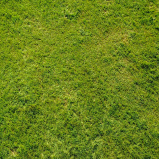 Perl Green