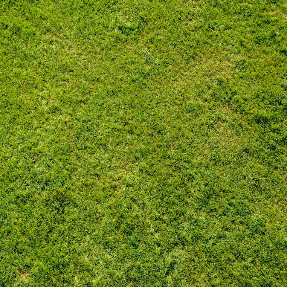 Perl Green