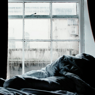 Gel Bed