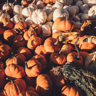 Pumpkin Towel