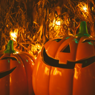 Pumpkin Soy Small