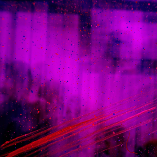 Purple Rooster