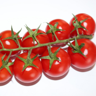 Tomato Trouser
