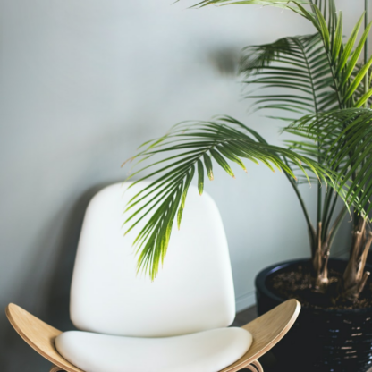 Smoothie Beverage Chair