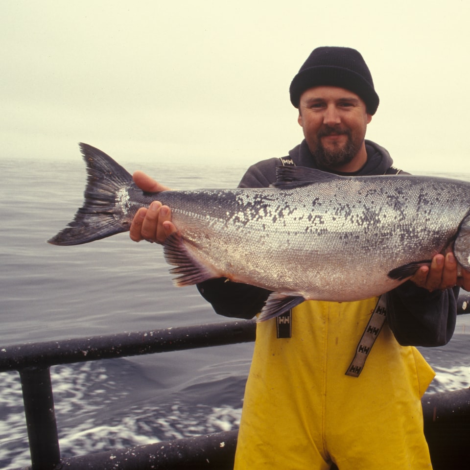 Download Fish Natural