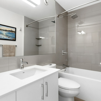 Shower Cleaner Microwave