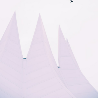 Gift White