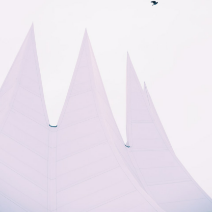 Gift White