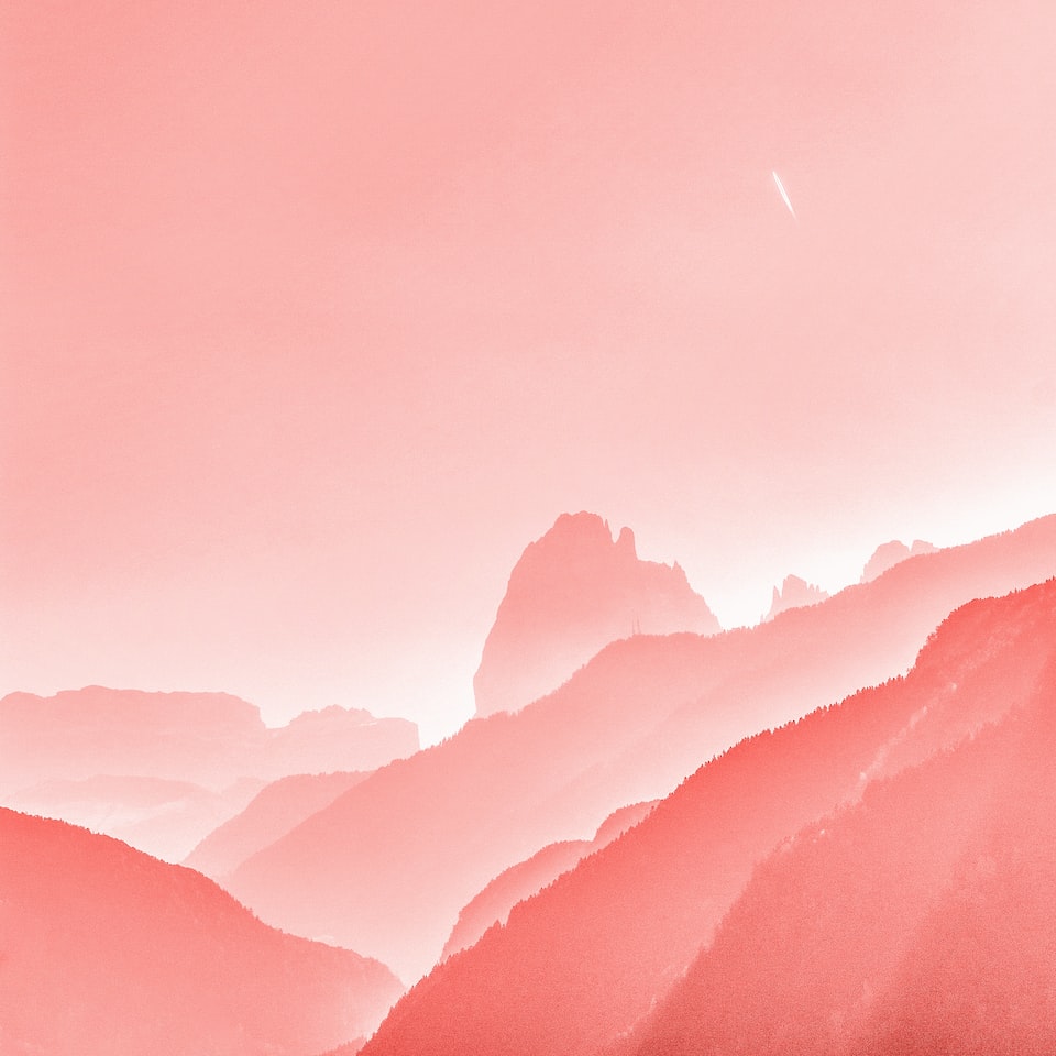 Pink Gift Meat