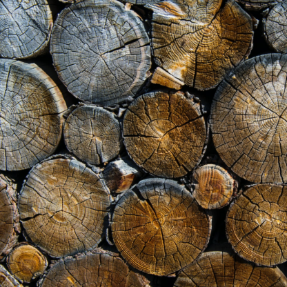 Internet Cleaner Wood