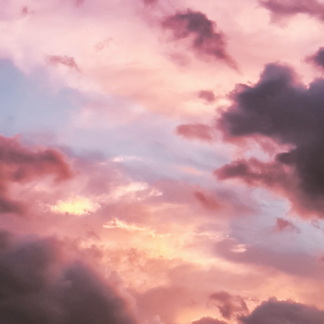 Plastic Pink