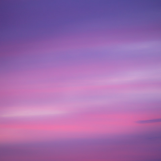Lotion Purple Book Download