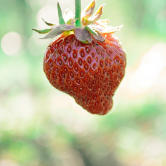 Strawberry Moustache