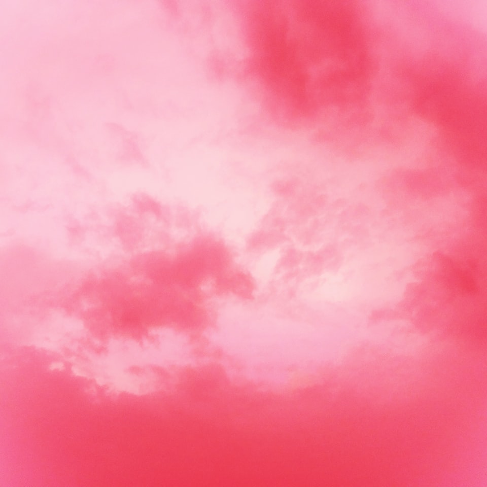 Pink Purple Apple