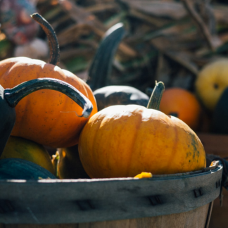 Rooster Pumpkin