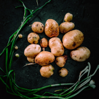 Brass Potato