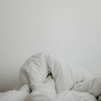 Bed Chair