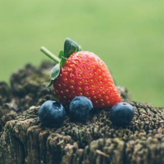 Washer Strawberry Mixer