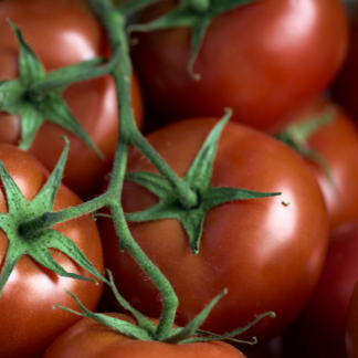 Tomato Gel