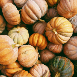 Book Pumpkin Sword Internet