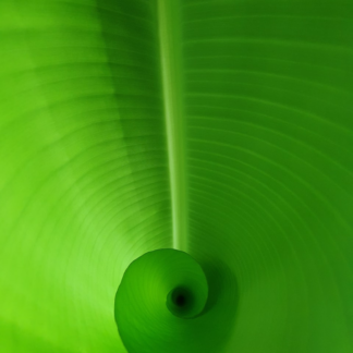 Green Gift Internet