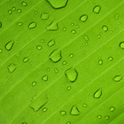 Cooler Green