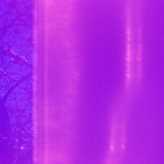 Heater Purple Card