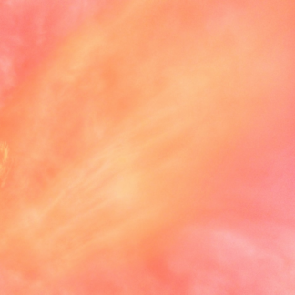 Mac Pink Sheet iPhone